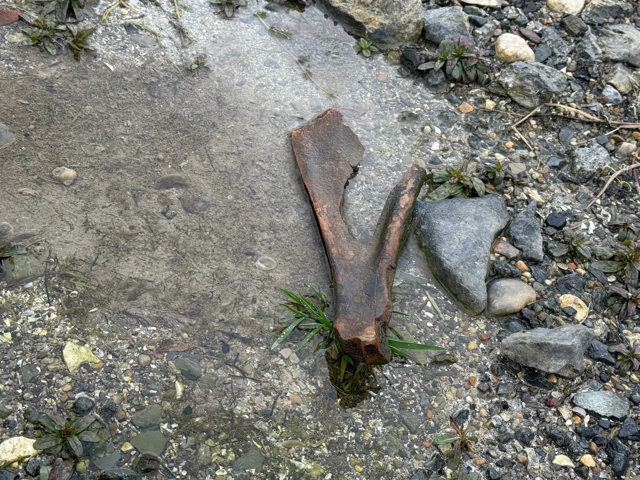 Eğirdir Gölü kıyısında bulunan kemiklerin hayvana ait olduğu değerlendiriliyor
