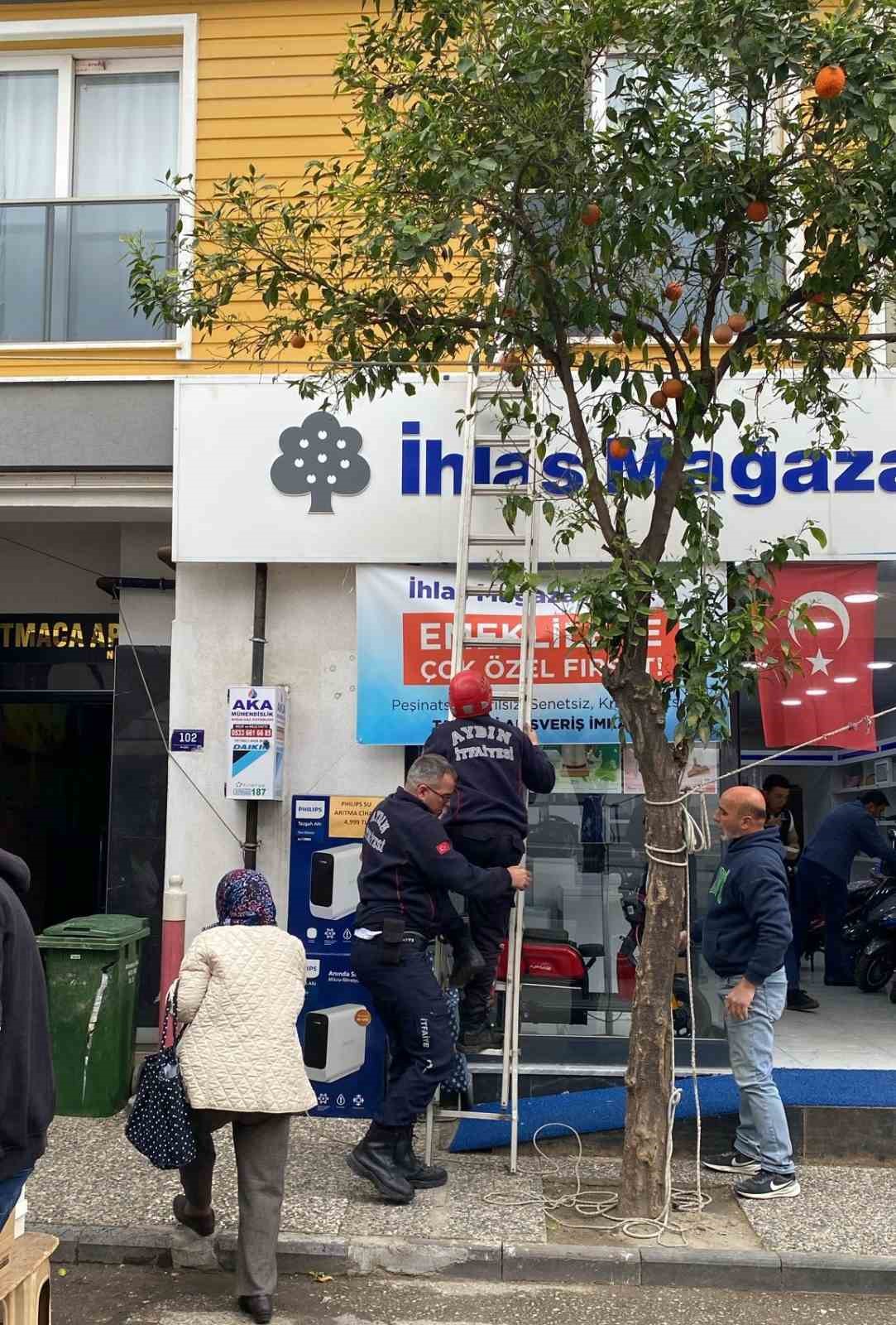 Ekipler yaşlı kadını kurtarmak için seferber oldu
