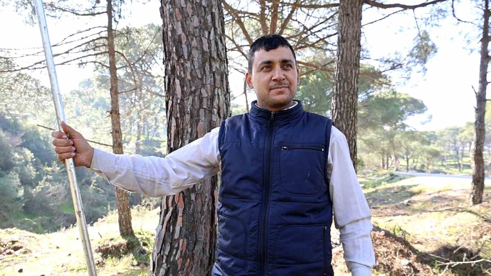 Ekmek parası için komando gibi ağaçlara tırmanıyorlar
