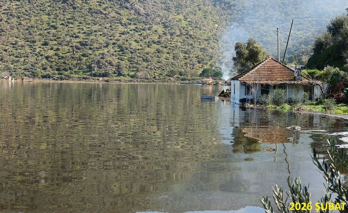 EKODOSD Başkanı Sürücü: "Söke Ovası antik dönemdeki deniz görünümüne döndü"
