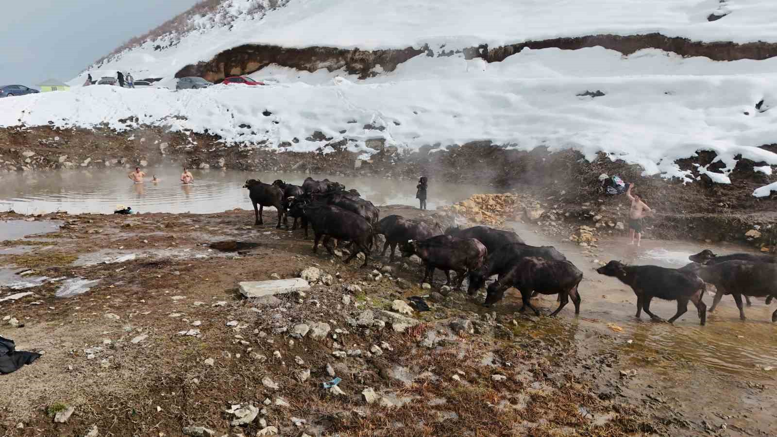 Eksi 25 derecede kaplıca keyfi
