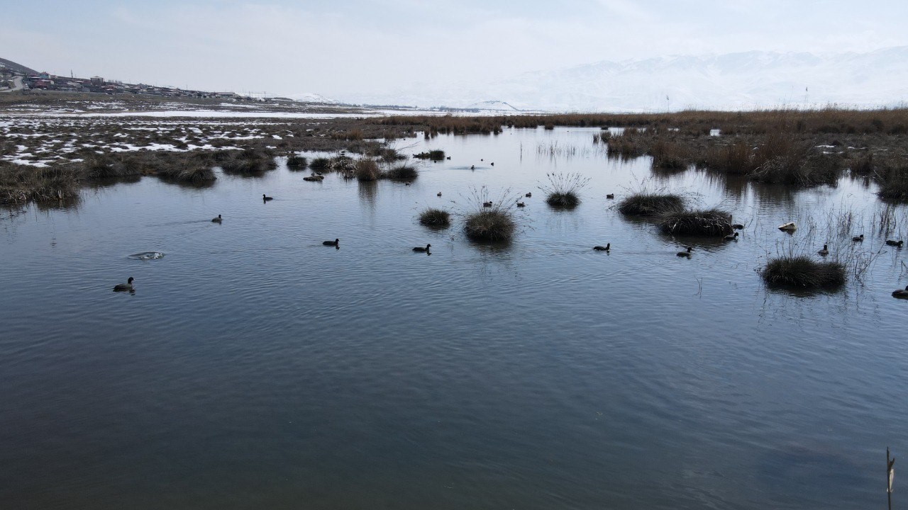 Ekşisu Kuş Cenneti’nde doğa drone ile kaydedildi
