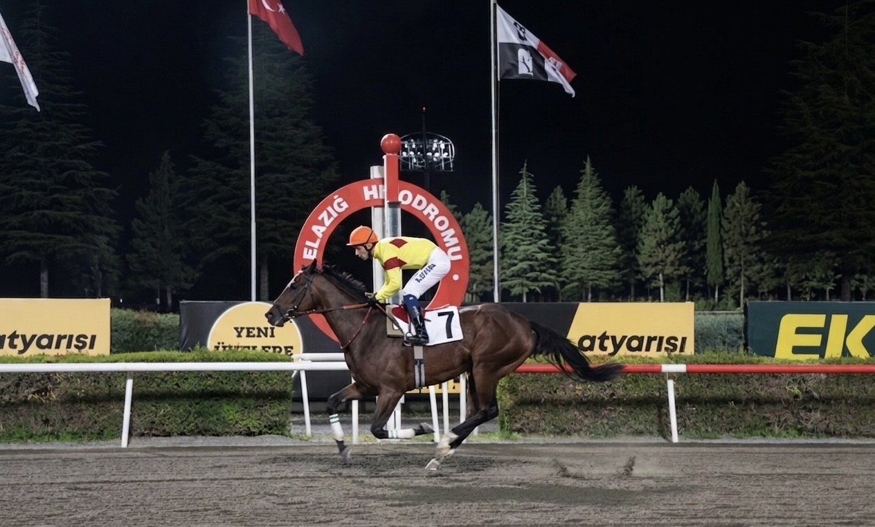 Elazığ Belediye Başkanlığı Koşusu’nda zafer Tribal Chief’in
