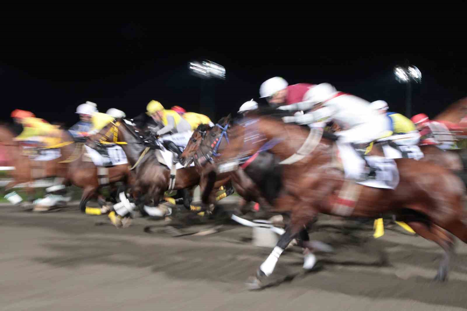 Elazığ Belediye Başkanlığı Koşusu’nda zafer Tribal Chief’in
