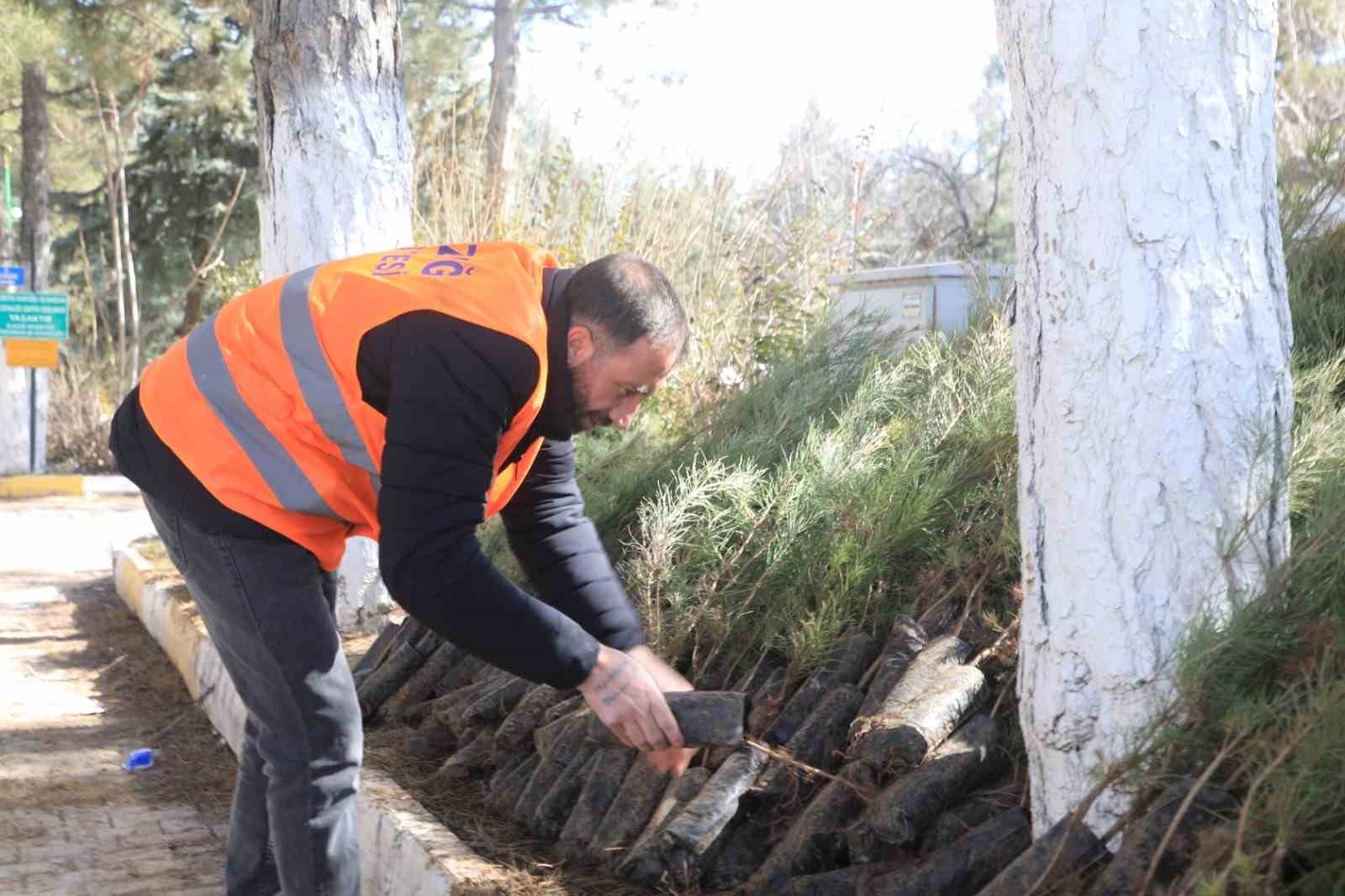 Elazığ Belediyesi’nden vatandaşlara ücretsiz fidan desteği

