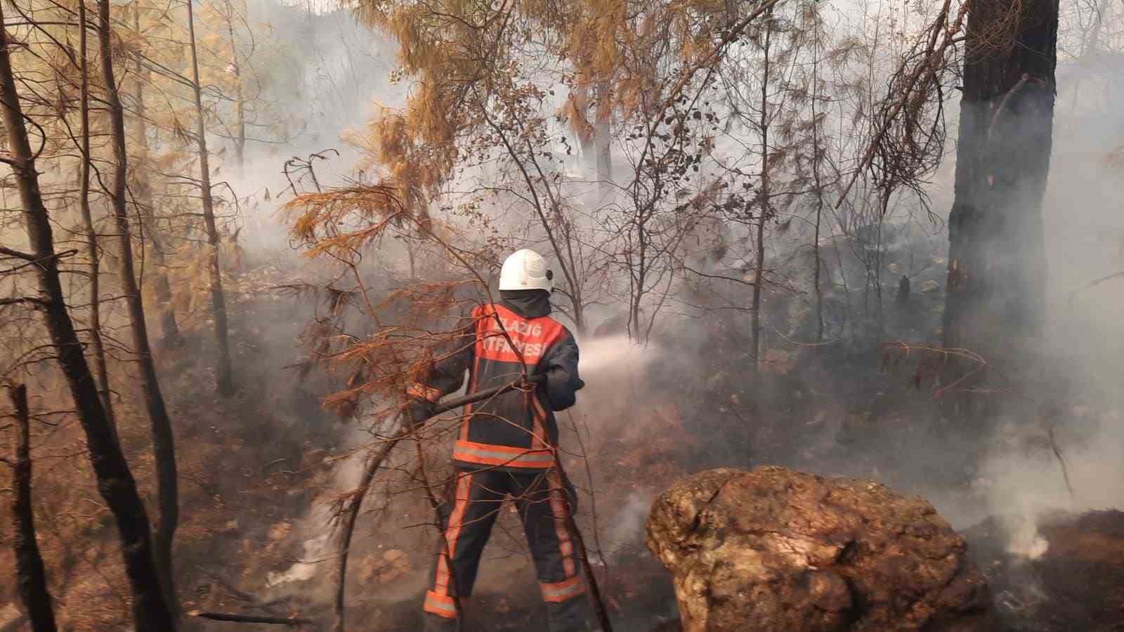 Elazığ itfaiyesi bir yılda, 2 bin 909 olaya müdahale etti
Elazığ itfaiyesi bir yılda, 2 bin 909 olaya müdahale etti