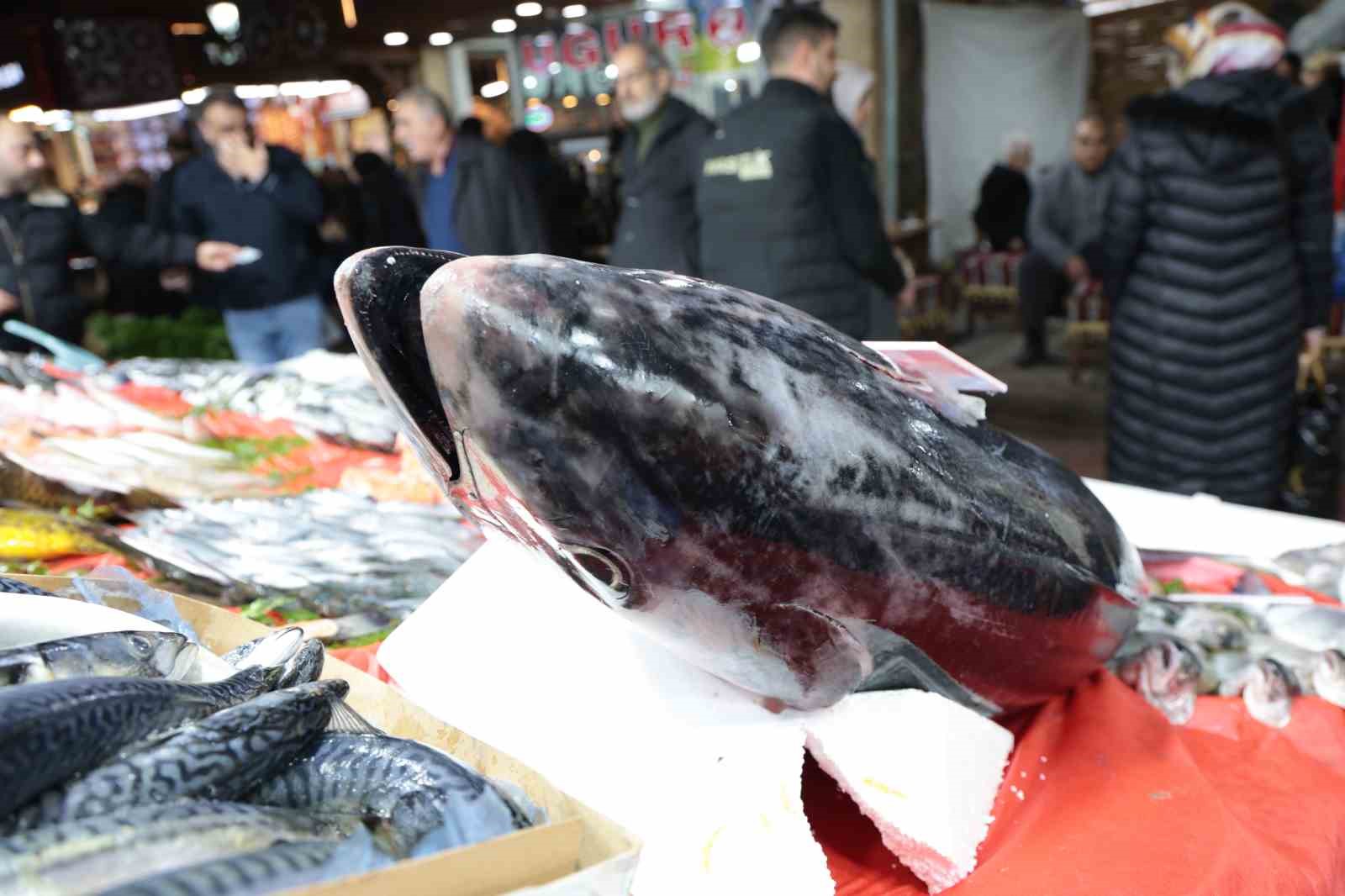 Elazığ Kapalı Çarşı’da 85 kiloluk orkinos tezgaha indi
