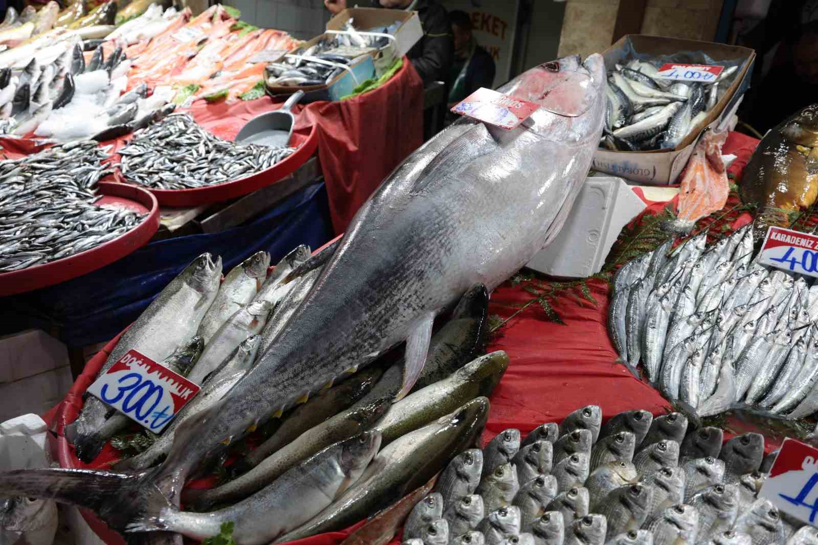 Elazığ Kapalı Çarşı’da 85 kiloluk orkinos tezgaha indi
