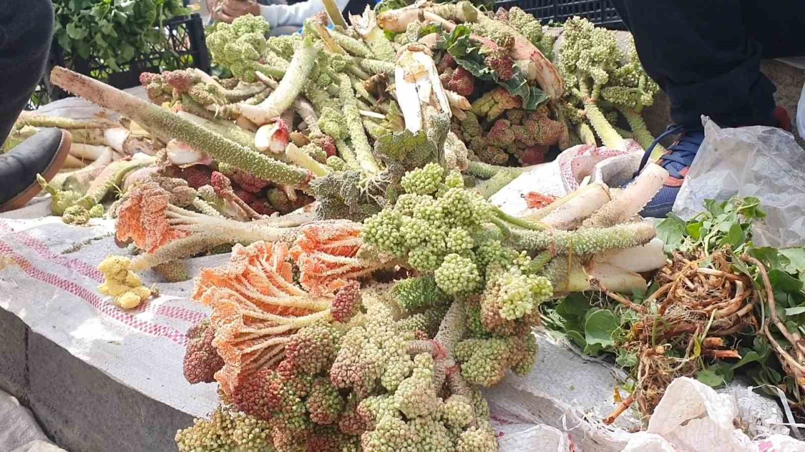 Elazığ’da bahar otları tezgahlarda yerini aldı
