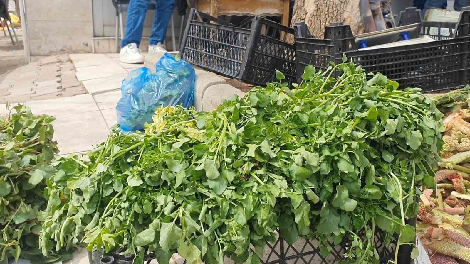 Elazığ’da bahar otları tezgahlarda yerini aldı

