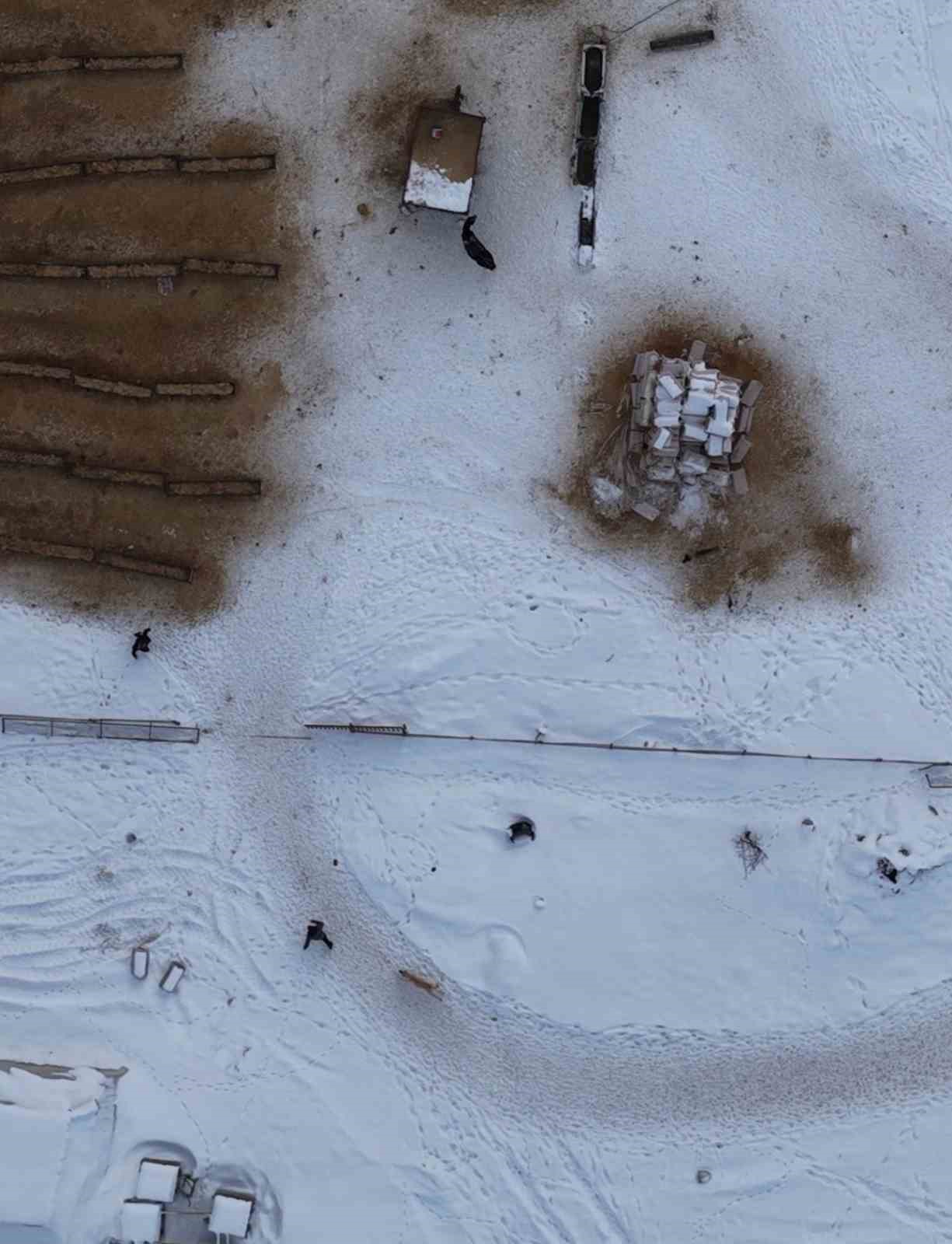 Elazığ’da doğaseverin köpeklerle zor anları dron kamerasında
