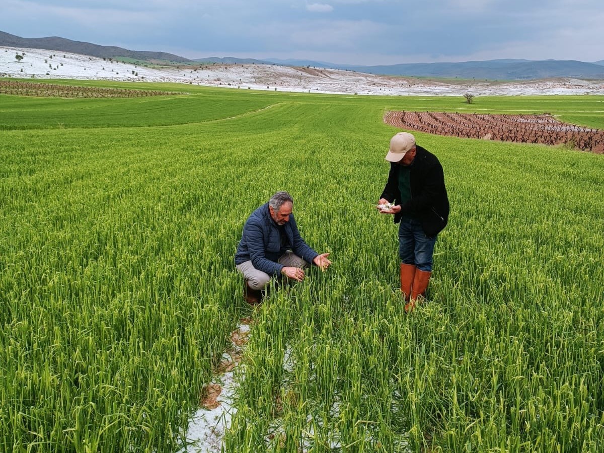 Elazığ’da dolu yağışı sonrası hasar tespit çalışması
