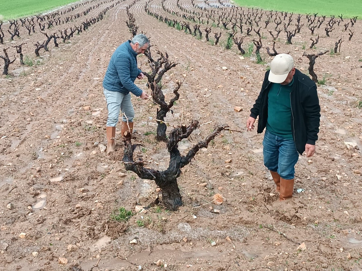 Elazığ’da dolu yağışı sonrası hasar tespit çalışması
