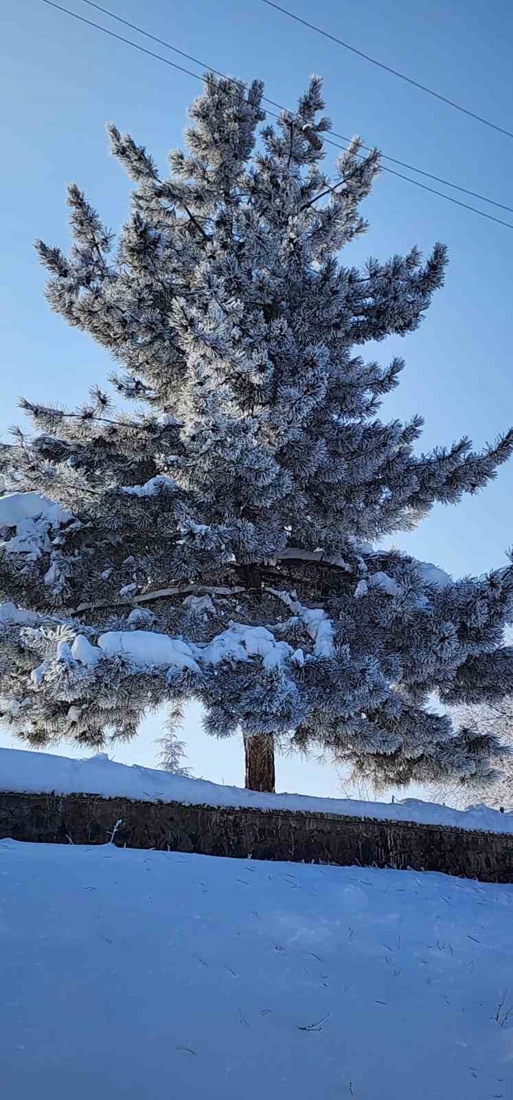 Elazığ’da dondurucu soğuklar: Karakoçan’da termometreler -22’yi gösterdi
