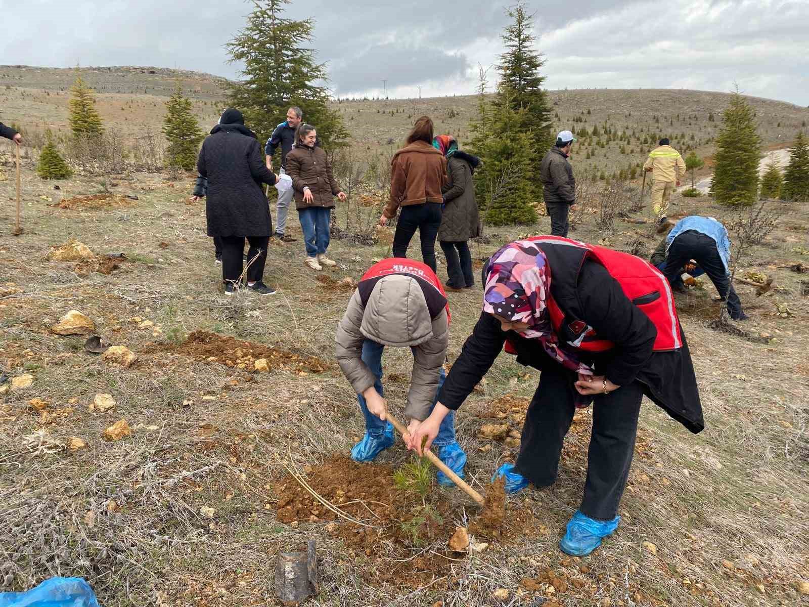 Elazığ’da fidan dikim etkinliği
