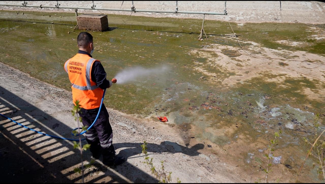 Elazığ’da haşereyle mücadele sürüyor
