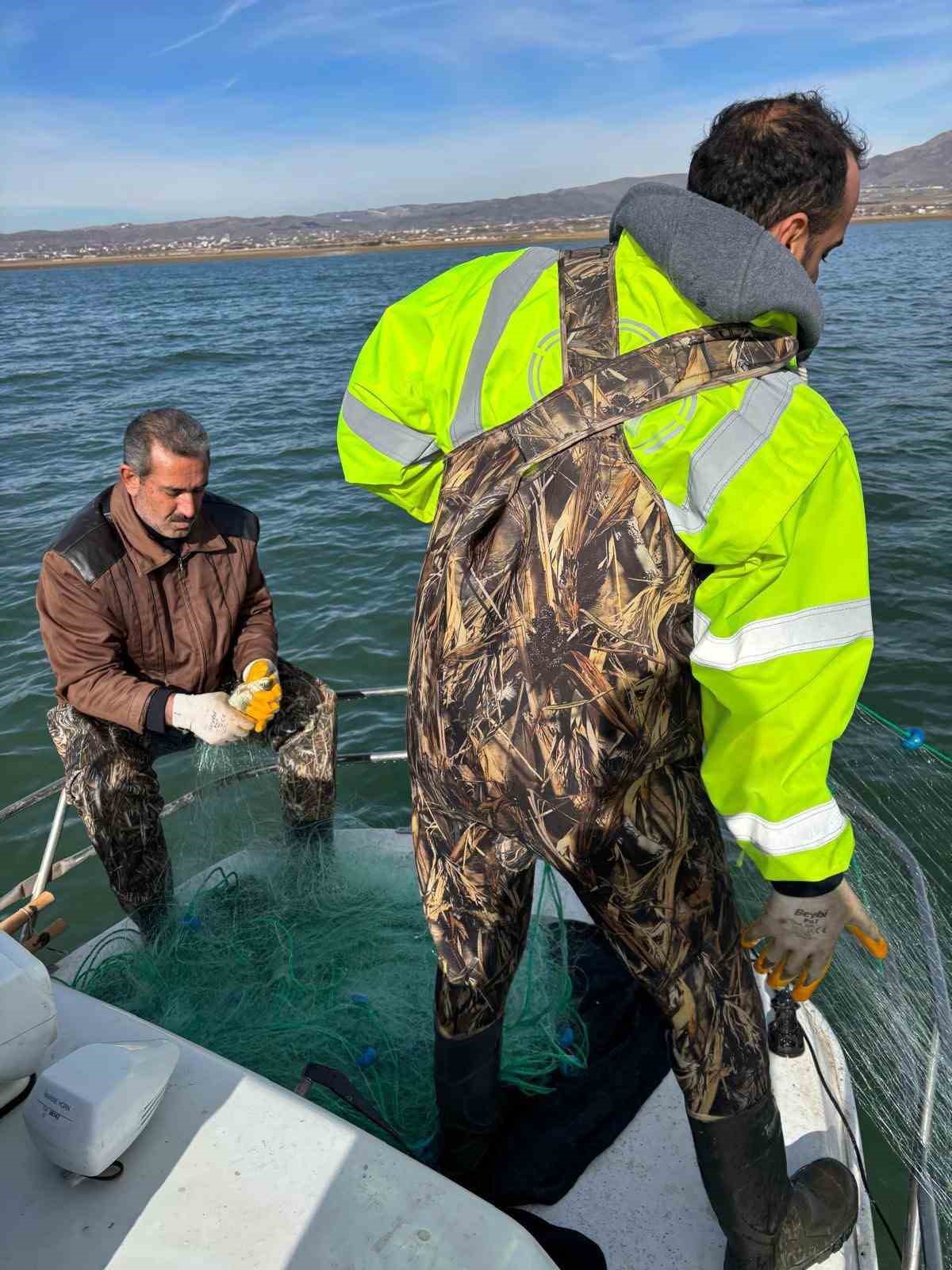 Elazığ’da kış mevsimi balık örneklemesi çalışması
