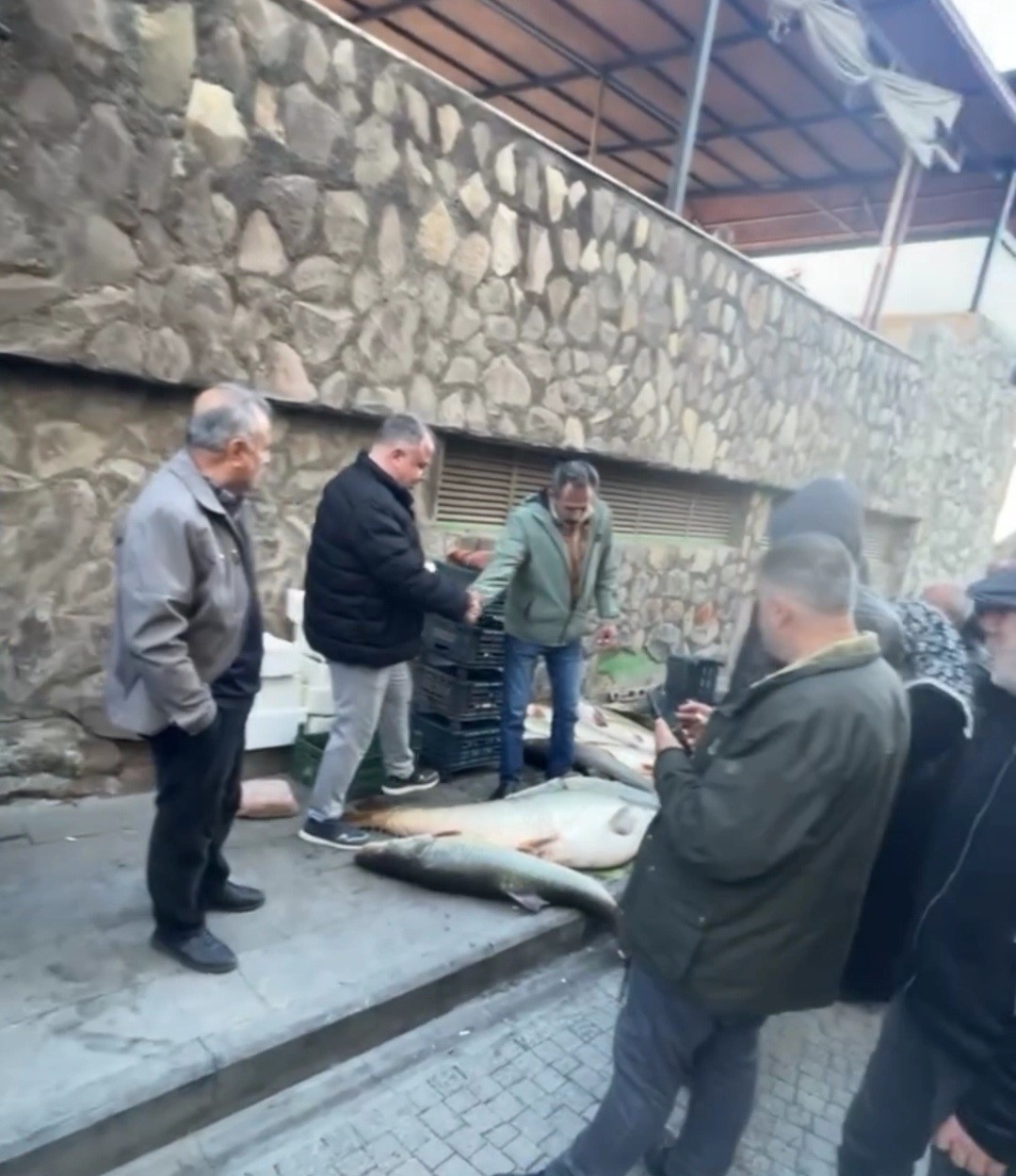 Elazığ’da kurban pazarlığını aratmayan görüntü: Vatandaşlar dev balık için yarıştı
