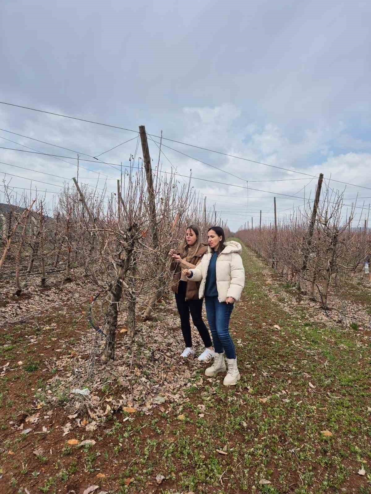 Elazığ’da meyve bahçelerinde entegre mücadele çalışması
