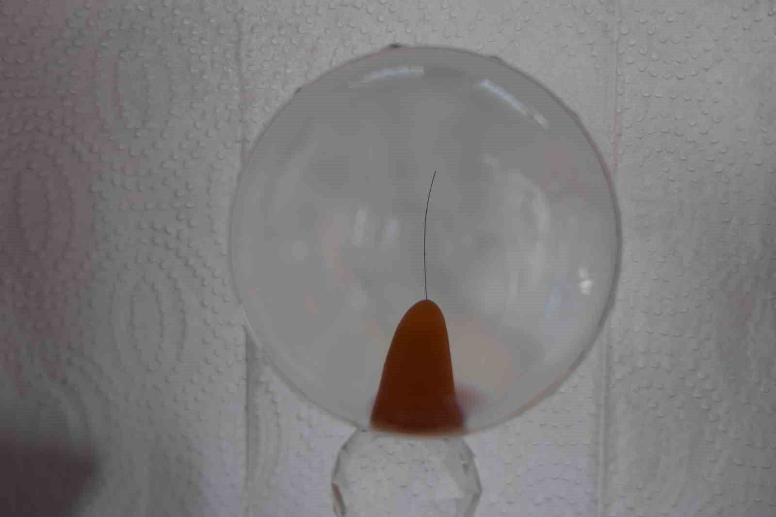 Elazığ’da Sakal-ı Şerif ve Hırka-i Şerif ziyarete açıldı
