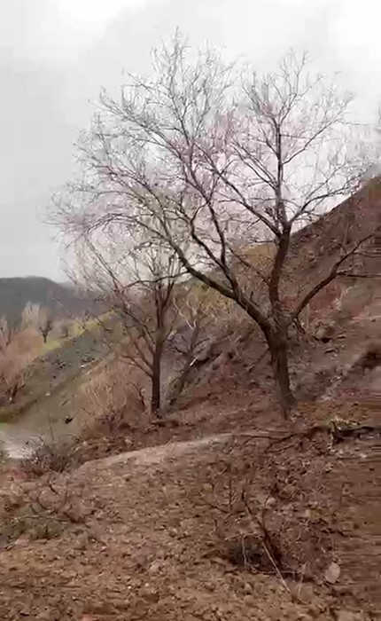 Elazığ’da toprak kayması
