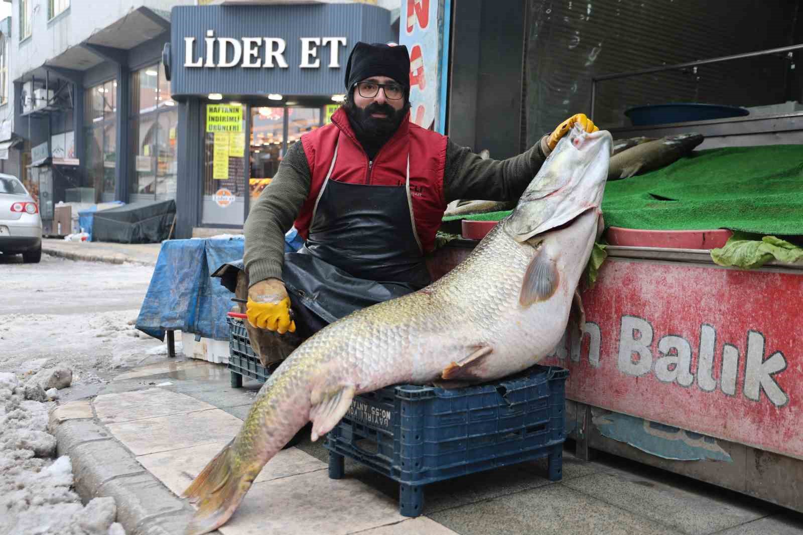 Elazığ’da yakalanan 78 kilogram ağırlığındaki turna balığını iki kişi zor taşıdı
