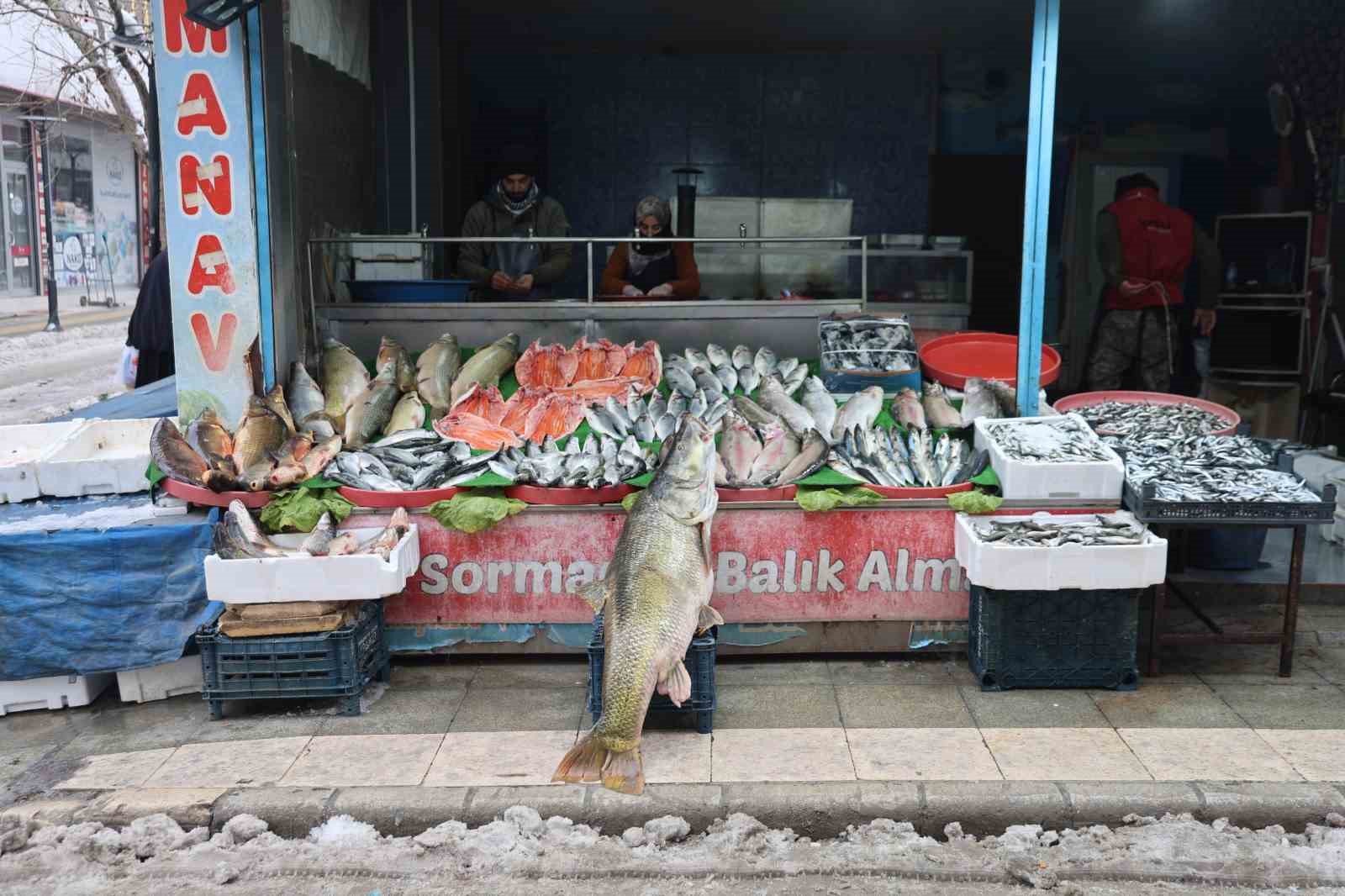 Elazığ’da yakalanan 78 kilogram ağırlığındaki turna balığını iki kişi zor taşıdı
