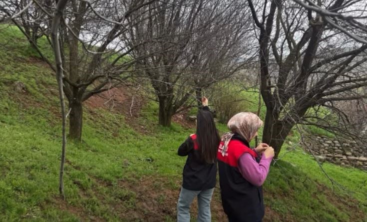 Elazığ’da zirai don mesaisi
Elazığ’da zirai don mesaisi