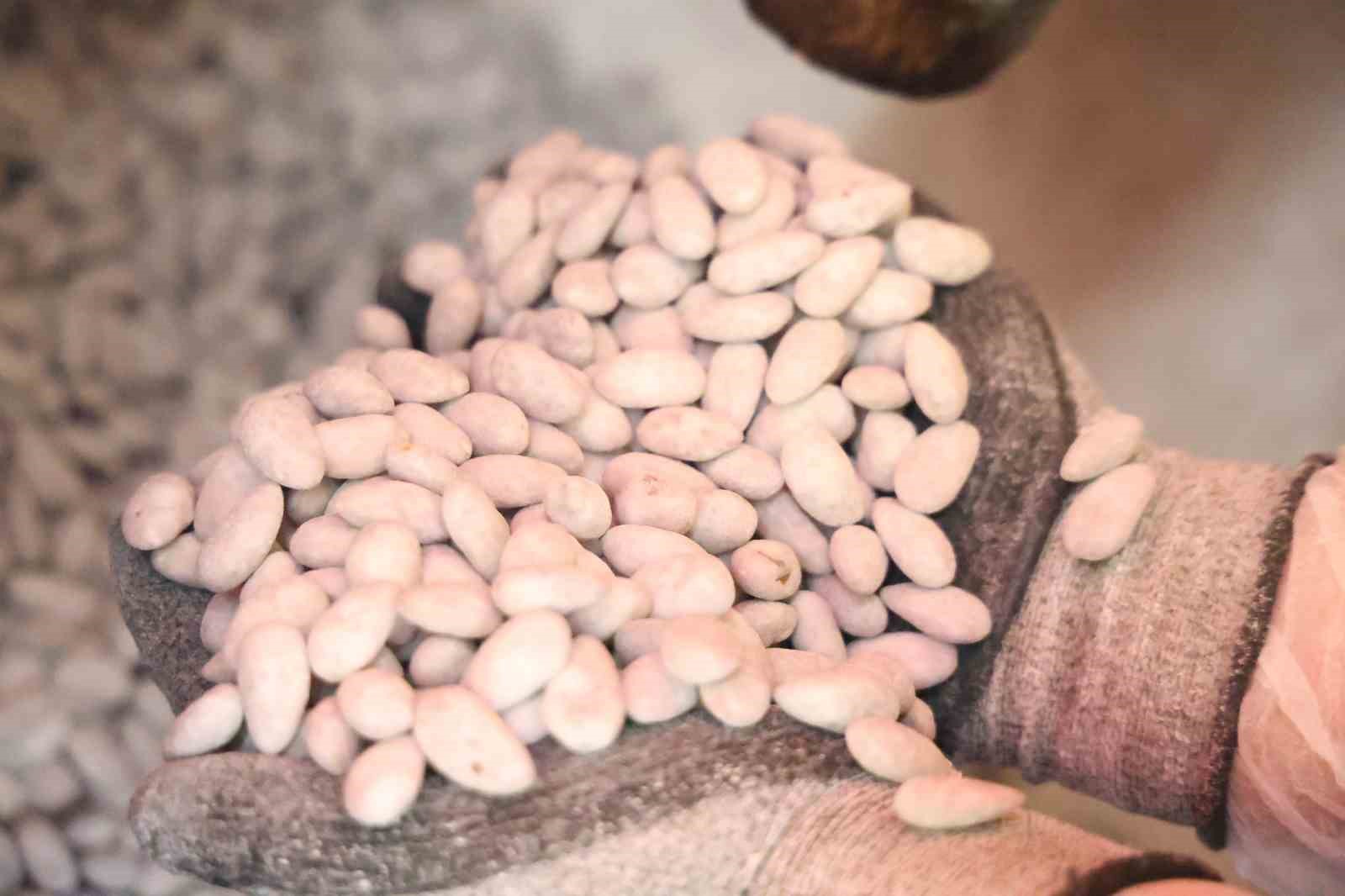 Elazığ’ın ‘Beyaz altını’ badem şekeri
Elazığ’ın ‘Beyaz altını’ badem şekeri