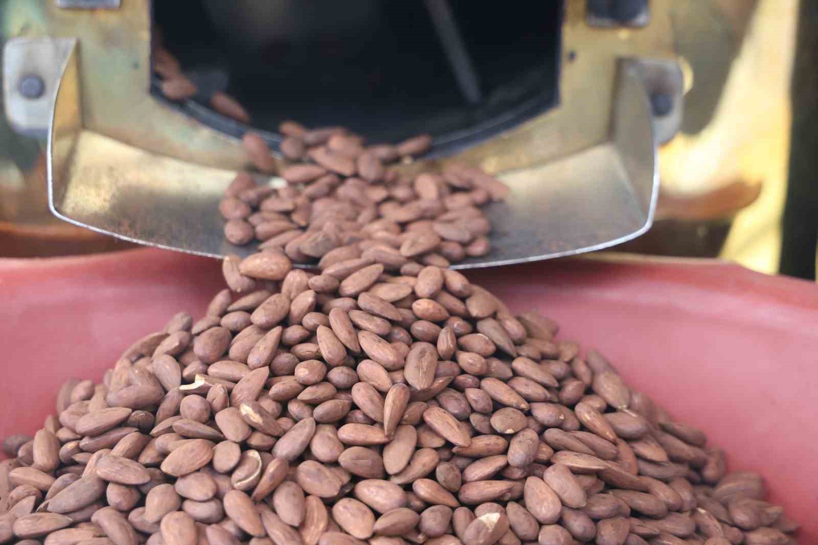 Elazığ’ın ‘Beyaz altını’ badem şekeri
Elazığ’ın ‘Beyaz altını’ badem şekeri