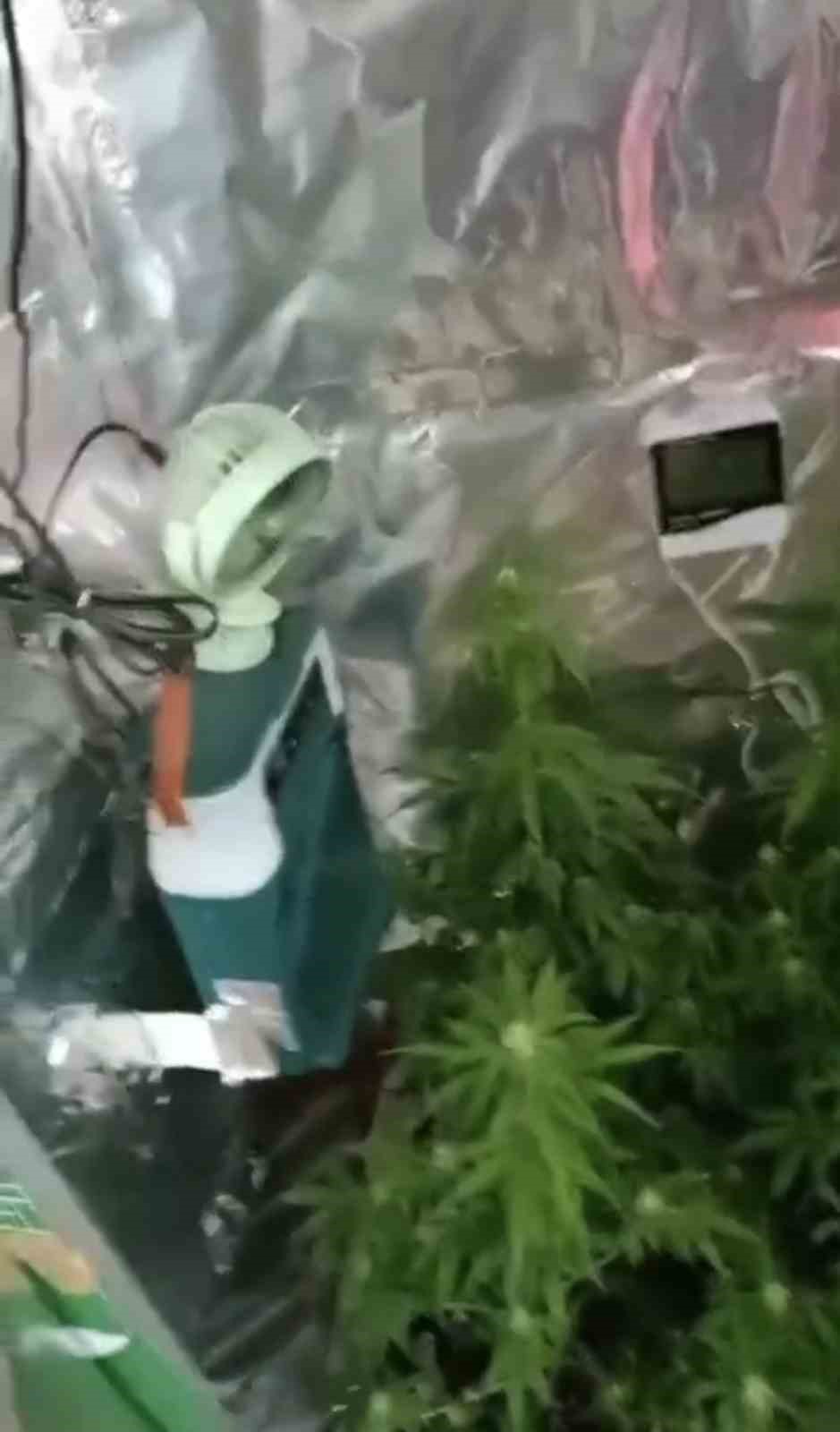 Elbise dolabında özel iklimlendirme sistemiyle uyuşturucu serası
