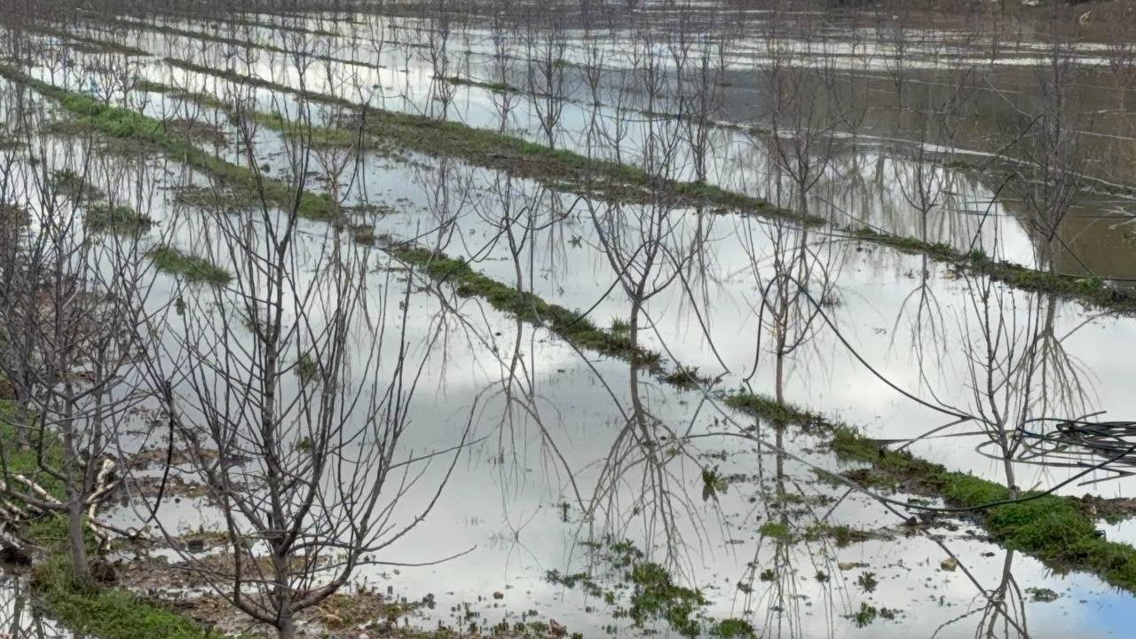 Elmanın başkenti Eğirdir’de yağış bereketi bahçeleri göle çevirdi
