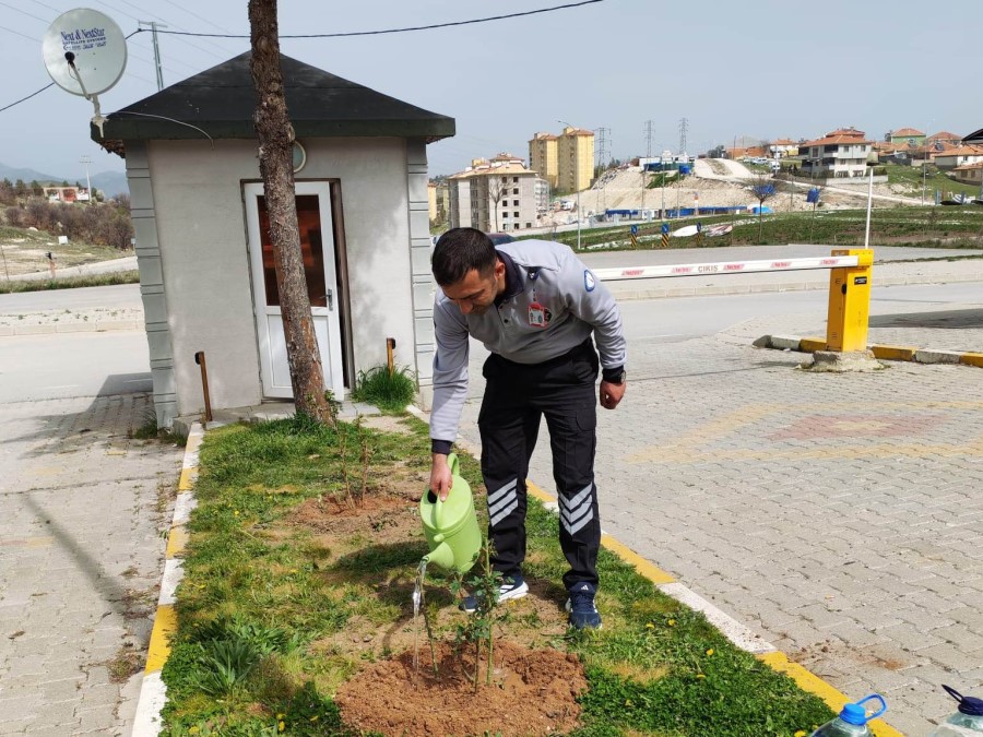 Emet MYO kampüsüne gül fidanı dikimi
