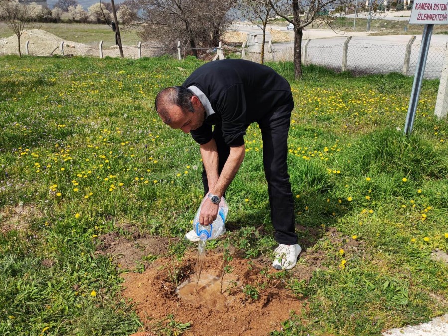 Emet MYO kampüsüne gül fidanı dikimi
