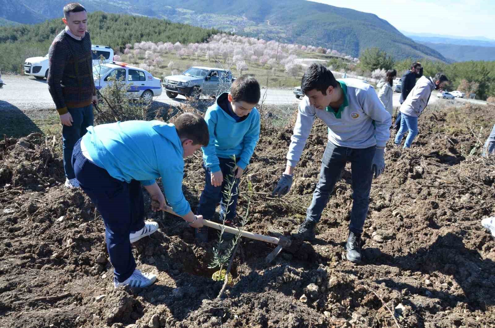 Emet’te zeytin fidanları toprakla buluştu
