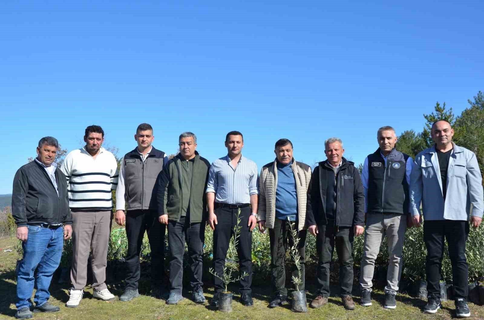 Emet’te zeytin fidanları toprakla buluştu
