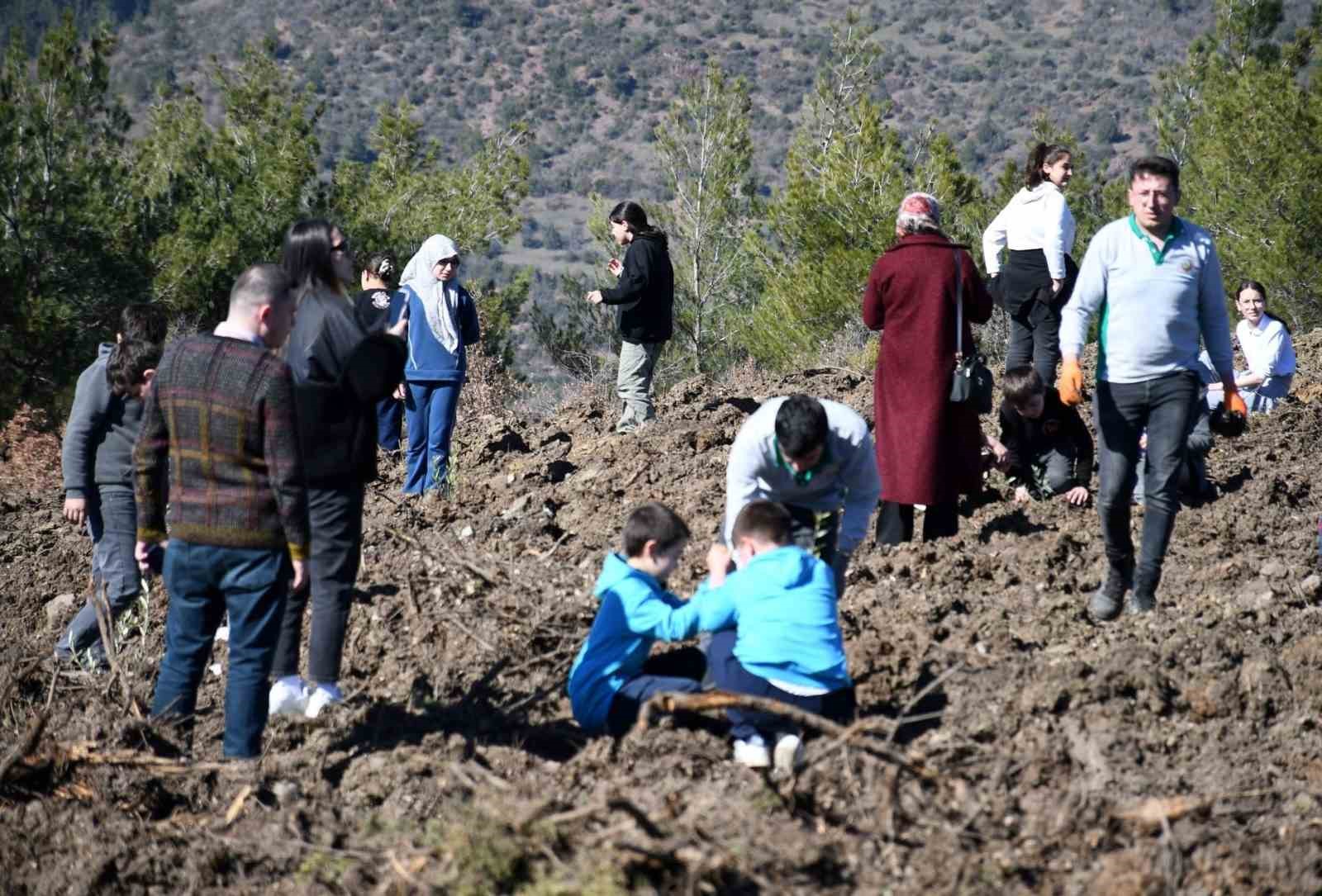Emet’te zeytin fidanları toprakla buluştu
