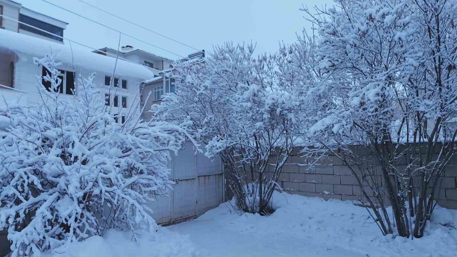 Erciş’te kar yağışı
