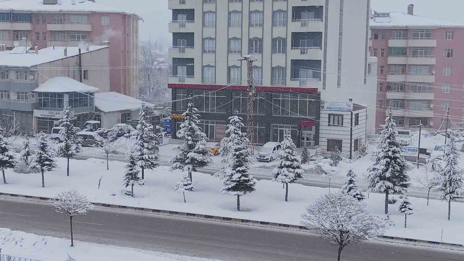 Erciş’te kar yağışı
