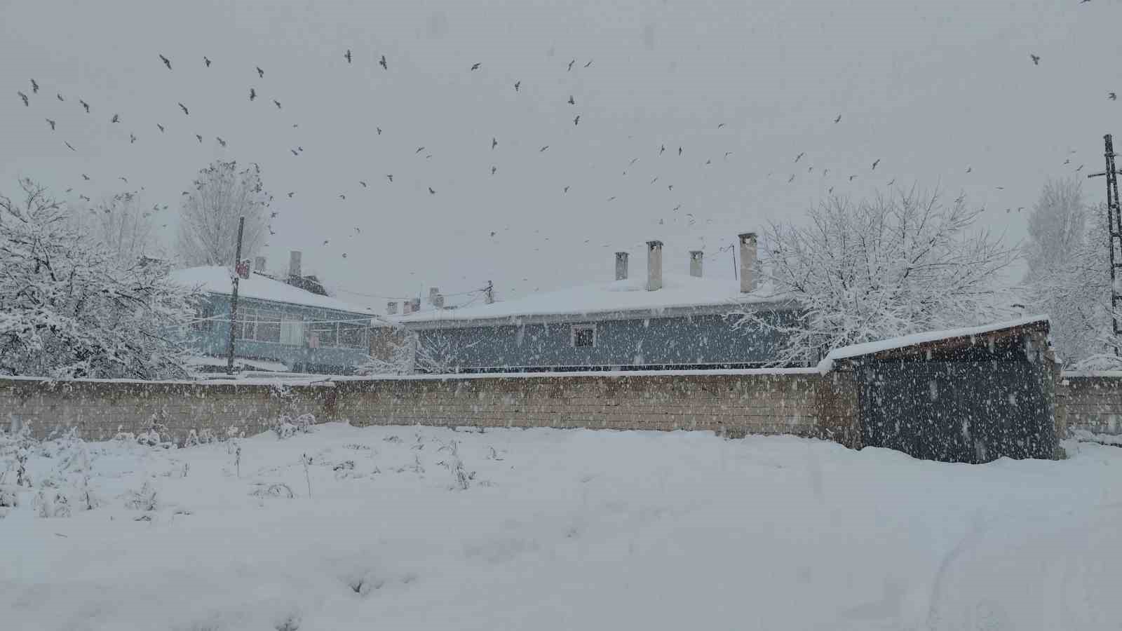 Erciş’te kar yağışı
