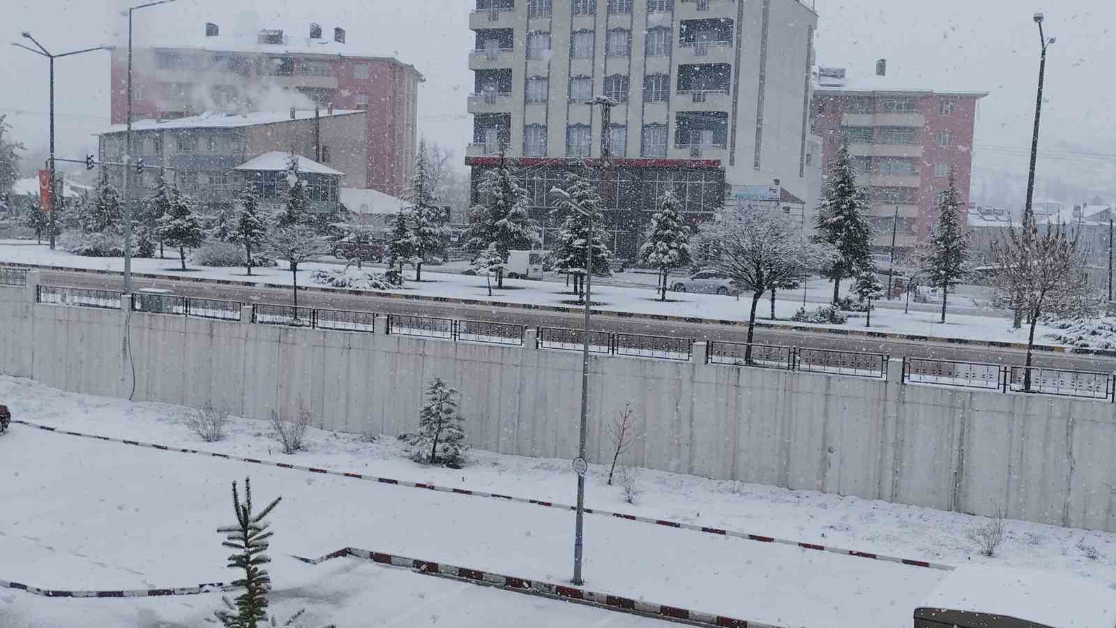 Erciş’te nisan ayında kar yağışı
