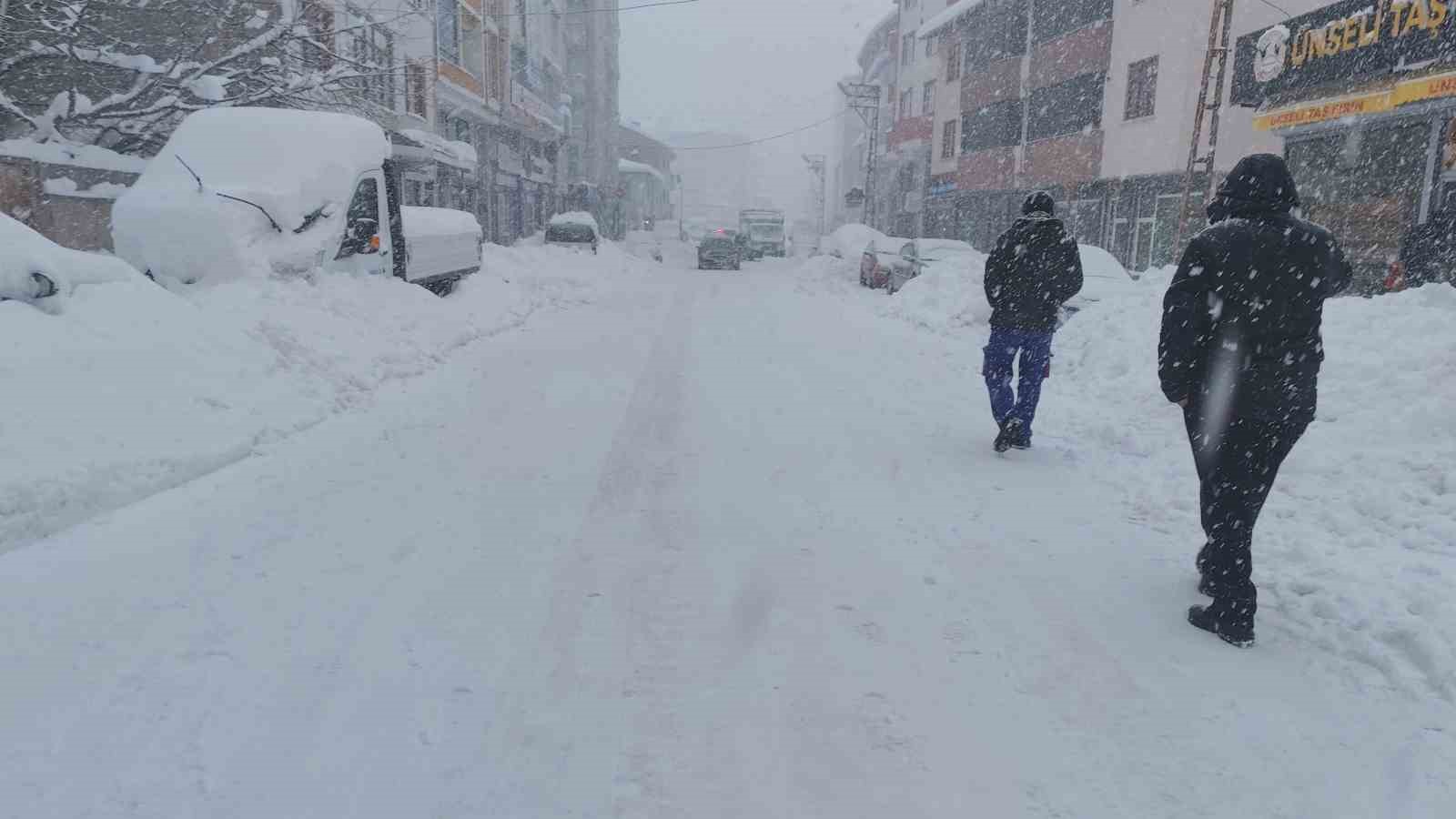 Erciş’te yoğun kar yağışı hayatı felç etti
