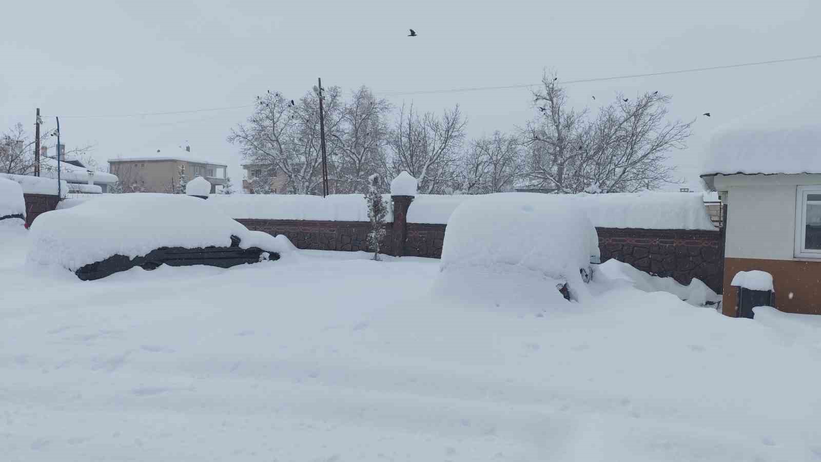 Erciş’te yoğun kar yağışı hayatı felç etti
