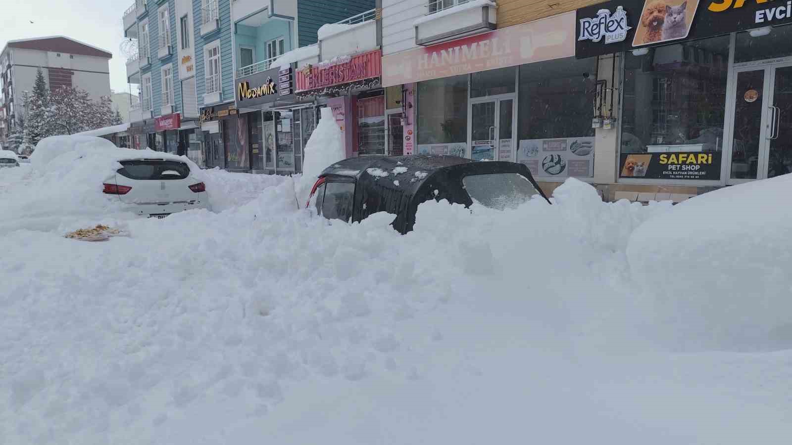 Erciş’te yoğun kar yağışı hayatı felç etti
