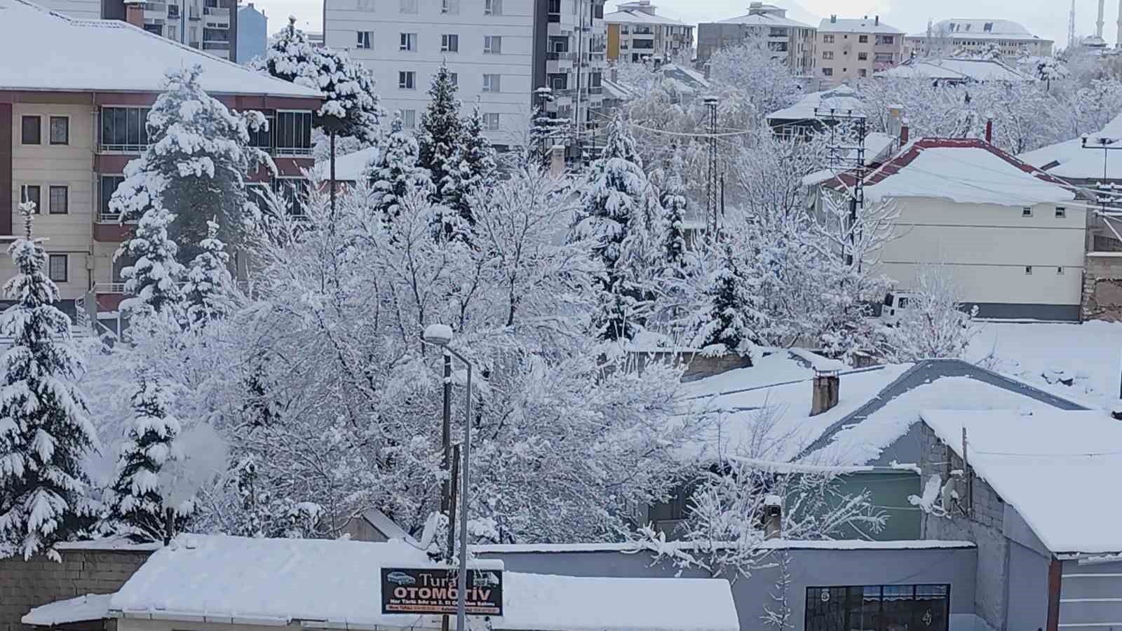 Erciş’te yoğun kar yağışı

