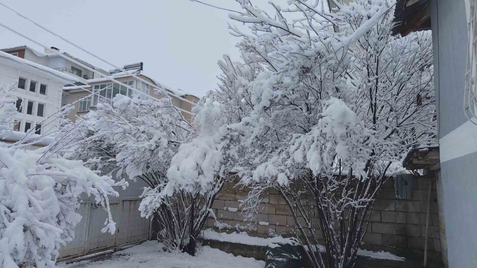 Erciş’te yoğun kar yağışı
