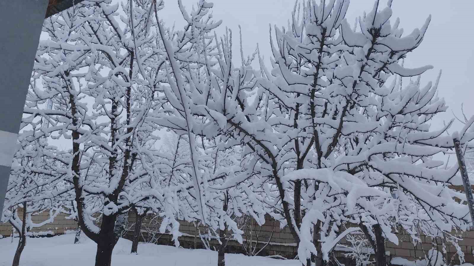 Erciş’te yoğun kar yağışı
