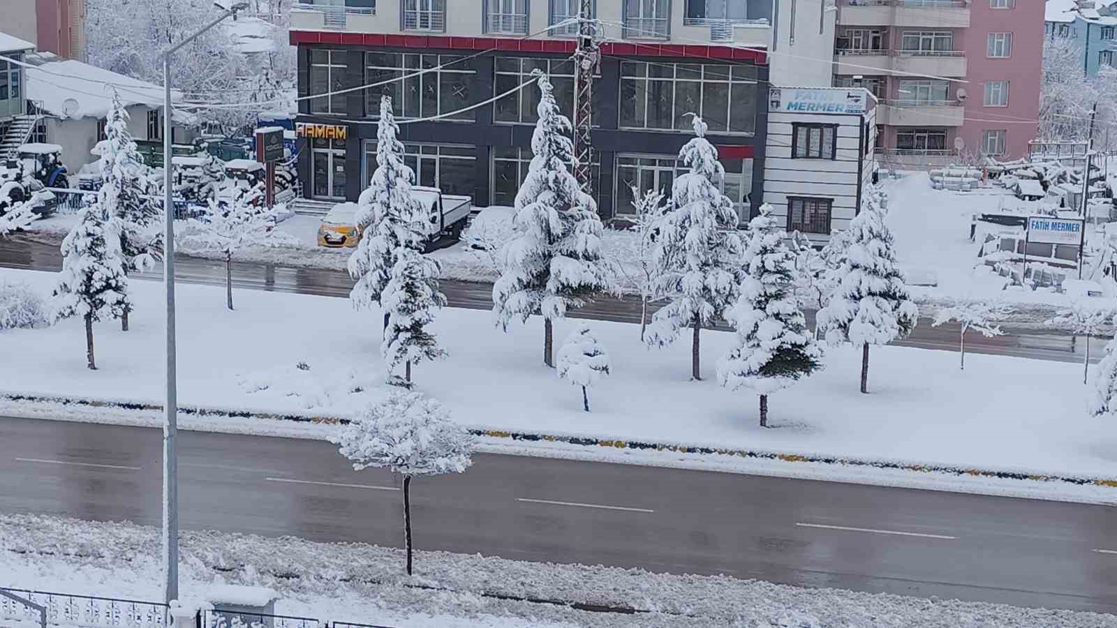 Erciş’te yoğun kar yağışı
