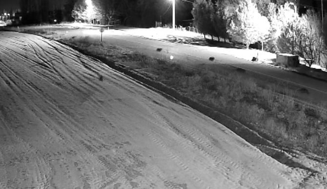 Ereğli’de kurt sürüsü görüntülendi
