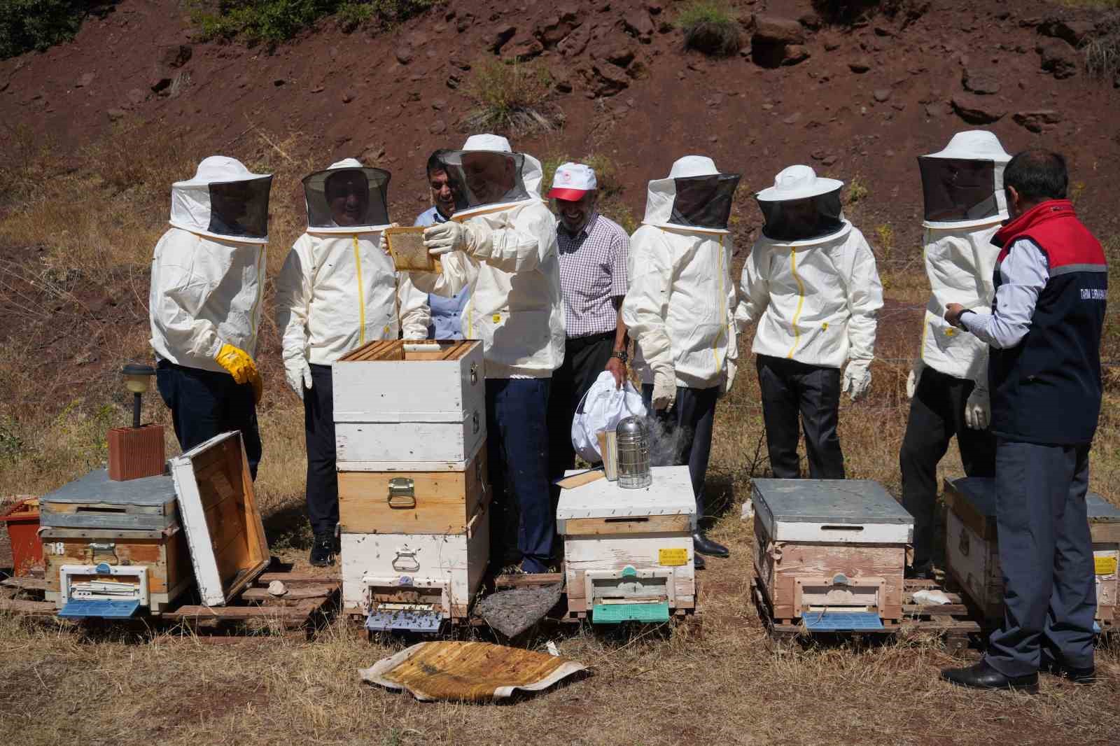 Erzincan Geven Balı coğrafi işaret tescili aldı
